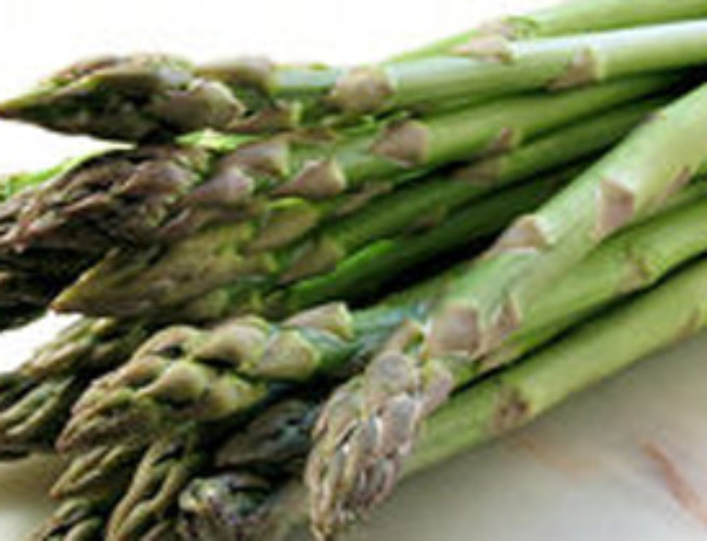 Asparagus Planting Guide Backbone Valley Nursery