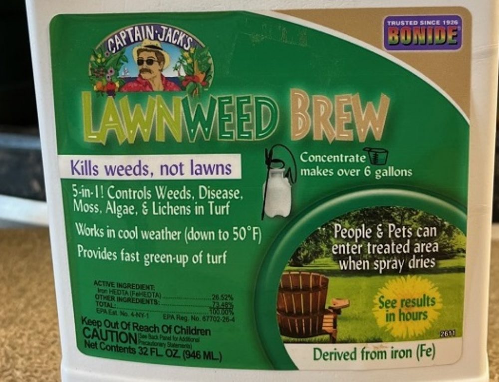 Growing Artichokes in Central Texas Backbone Valley Nursery