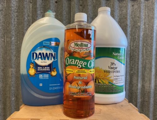 Weed Control with Horticultural Vinegar