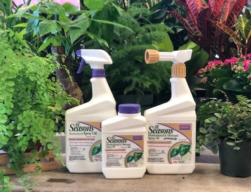 Oil Products for Insect and Disease Control