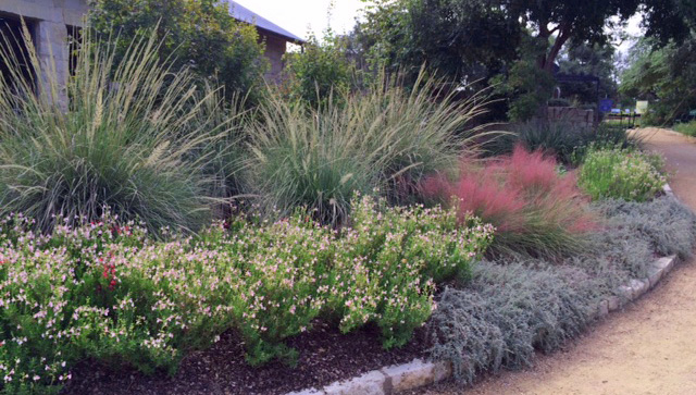 Don T Overlook Ornamental Grasses, How To Use Ornamental Grasses In Landscape