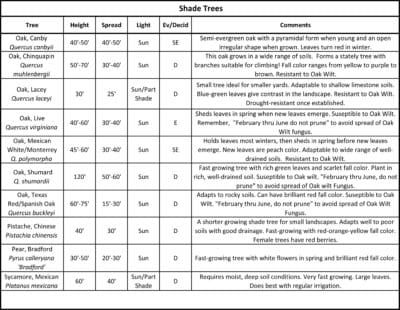 Backbone Valley Nursery - Tree List - Backbone Valley Nursery