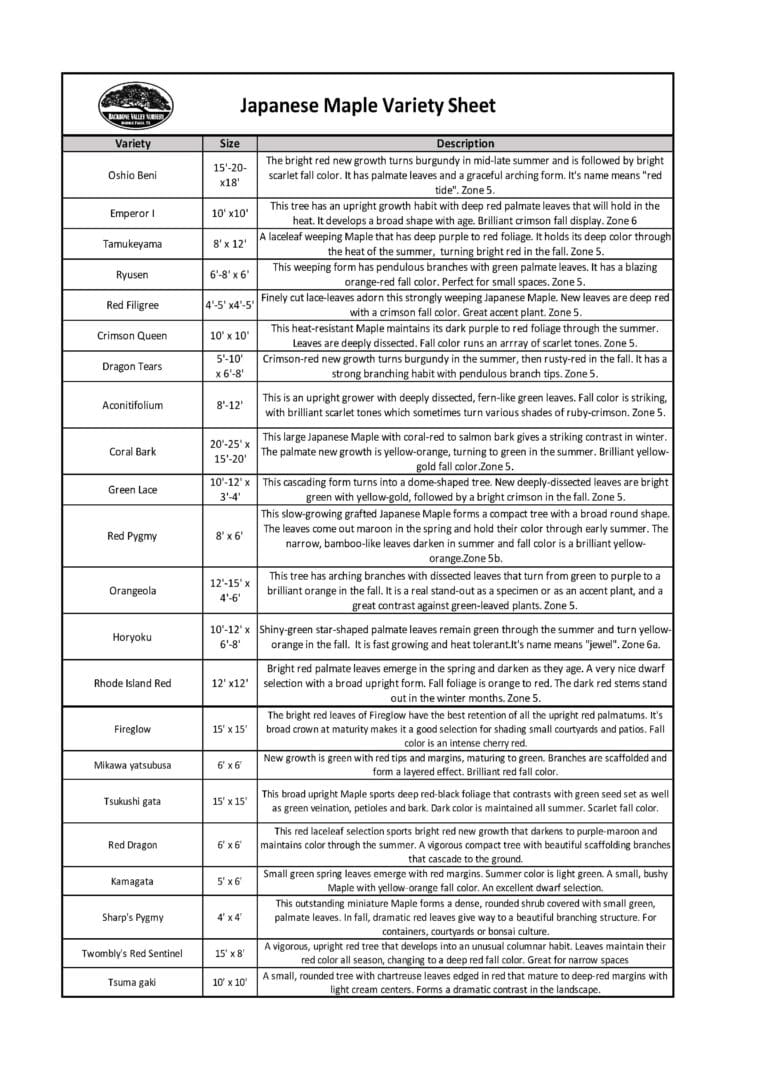 Japanese Maple Variety Sheet Backbone Valley Nursery japanese-maple-variety-sheet-backbone-valley-nursery