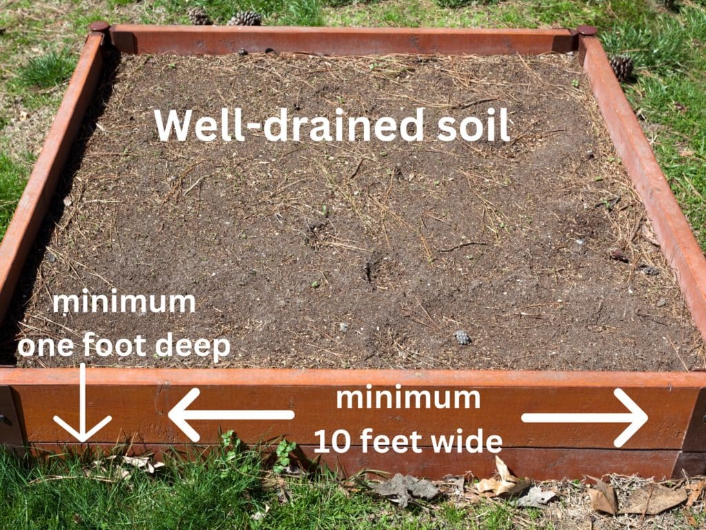 Fruit Trees in Central Texas Backbone Valley Nursery