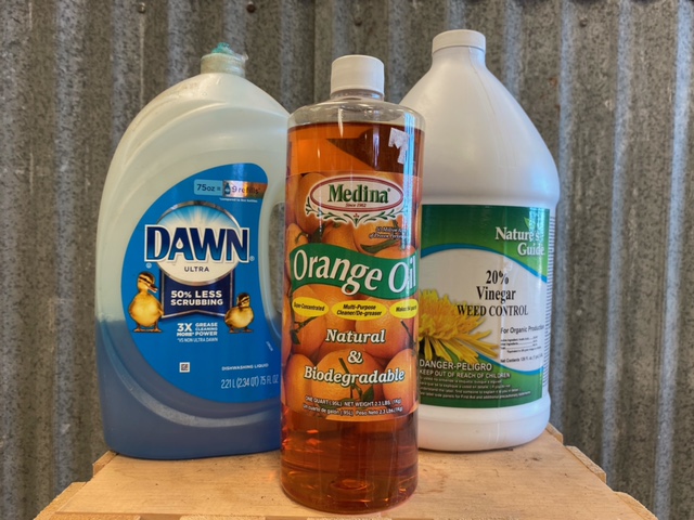 Weed Control with Horticultural Vinegar
