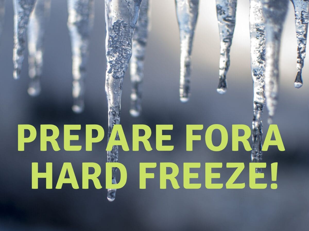 Hard Freeze Preparation In Central Texas 2024 Backbone Valley Nursery   Freeze Poster 1200x900 