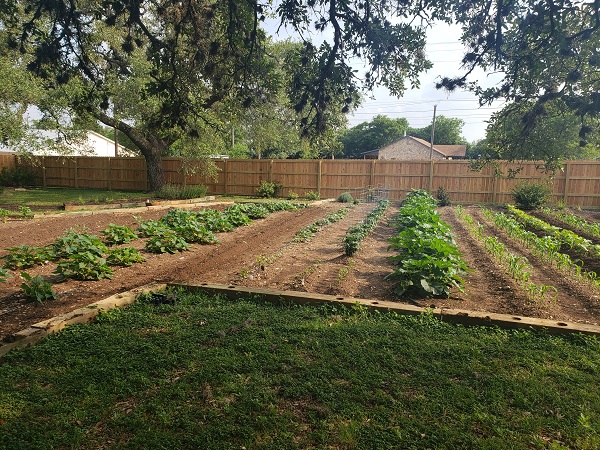 13-13-13 Fertilizer-Good or Bad?